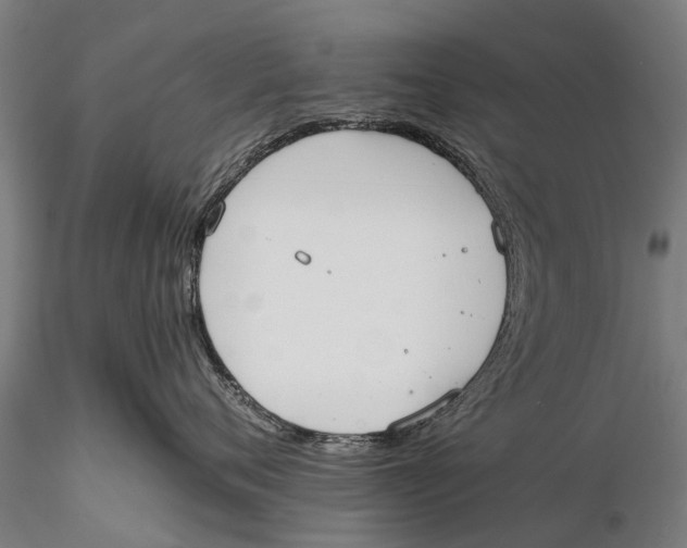 X0000115600720200912011526