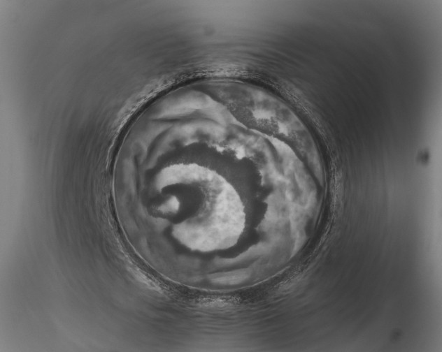 X0000115600721200912011525