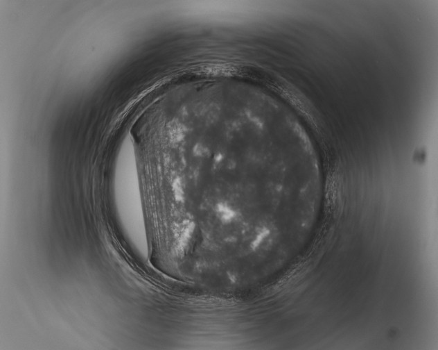 X0000115600722200912011525