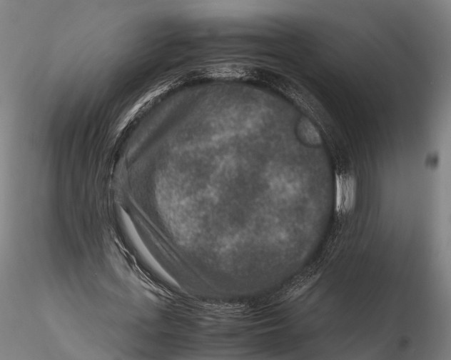 X0000115600723200912011526