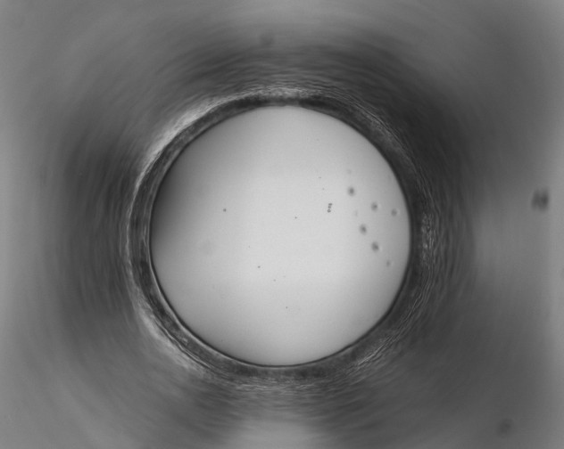 X0000115600726200912011526