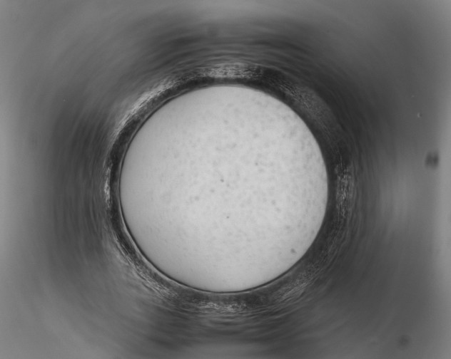 X0000115600727200912011526