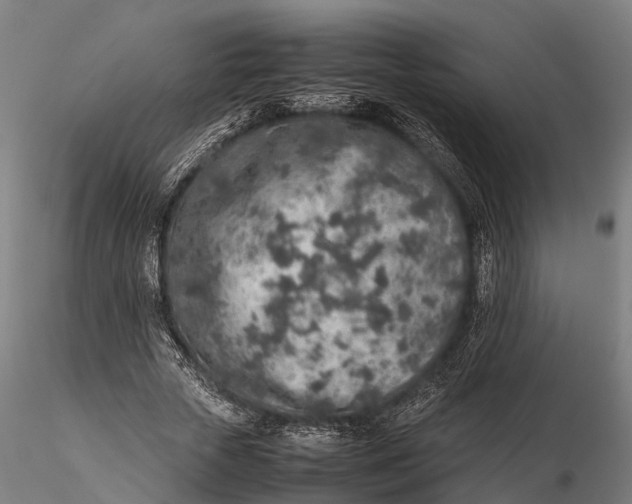 X0000115600729200912011526