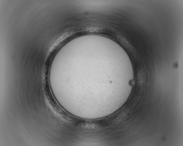 X0000115600730200912011526