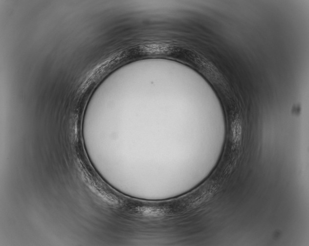 X0000115600733200912011526