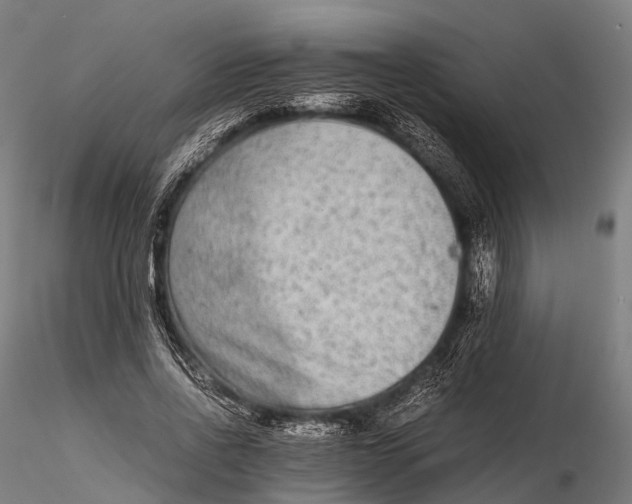 X0000115600734200912011526