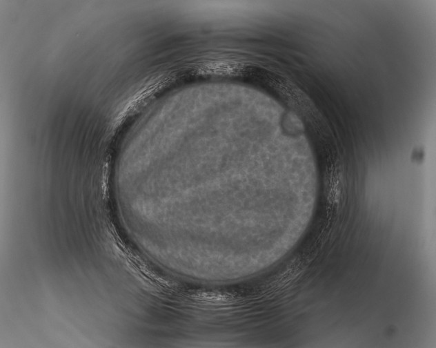 X0000115600735200912011526