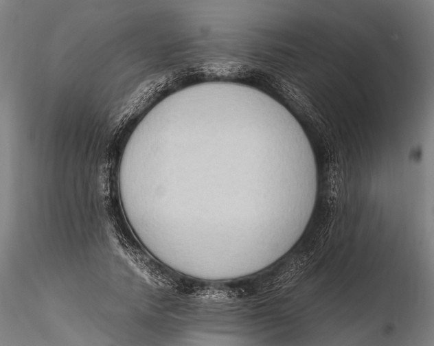 X0000115600738200912011526