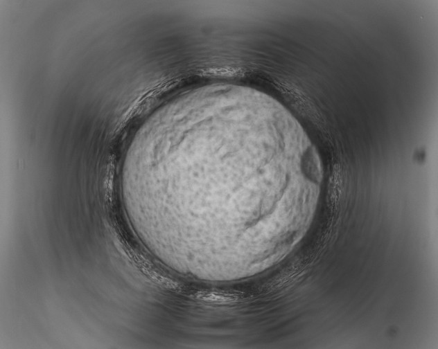 X0000115600739200912011526