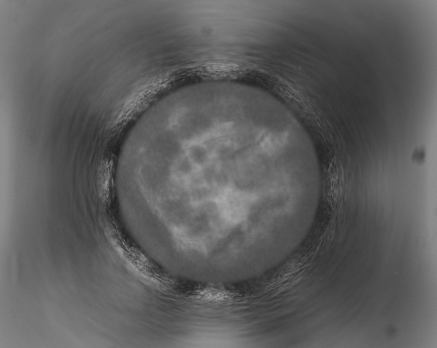 X0000115600742200912011526