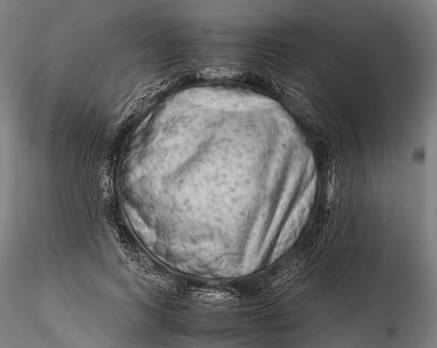 X0000115600743200912011526