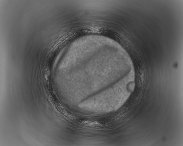 X0000115600747200912011526