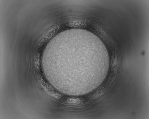 X0000115600749200912011526