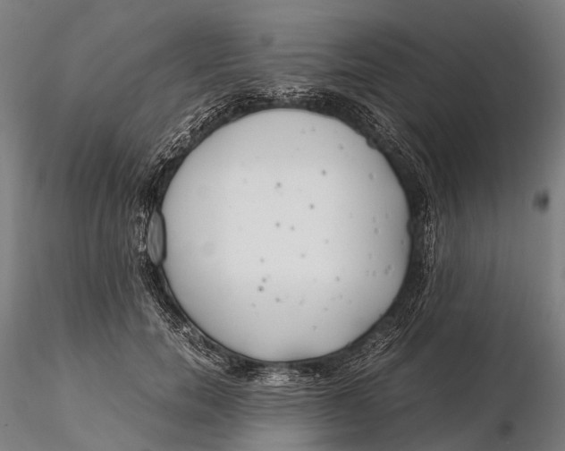 X0000115600750200912011526