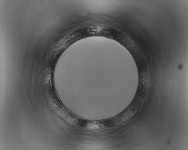 X0000115600754200912011526