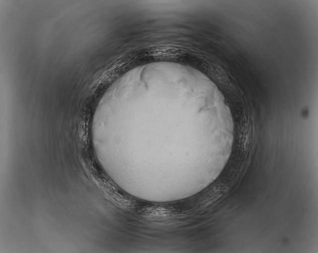 X0000115600755200912011526