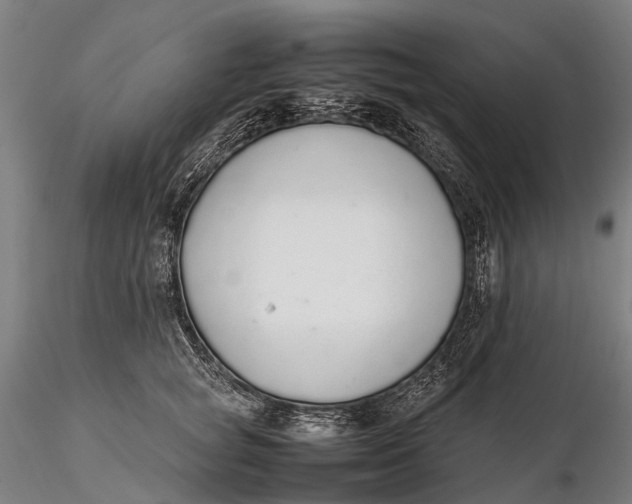 X0000115600757200912011526