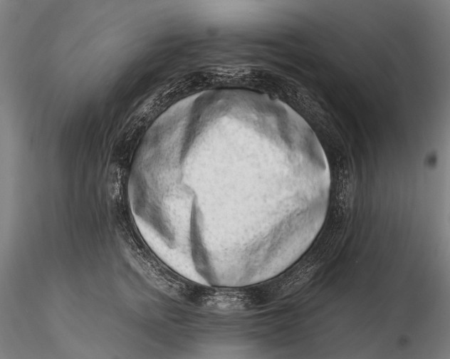 X0000115600758200912011526