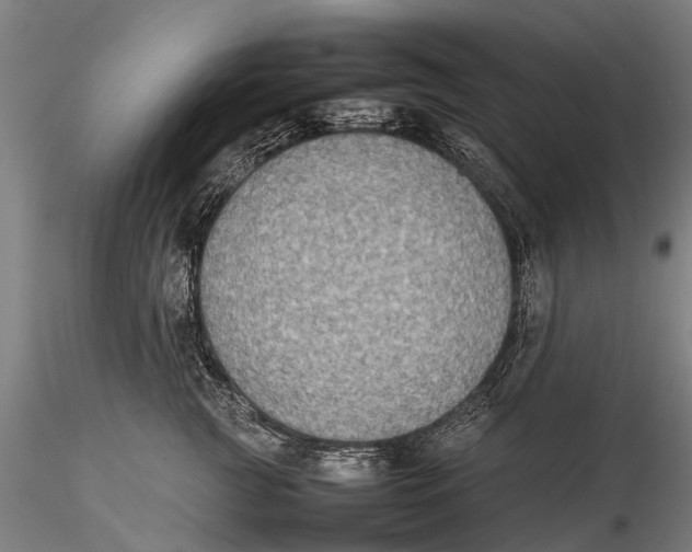 X0000115600761200912011526