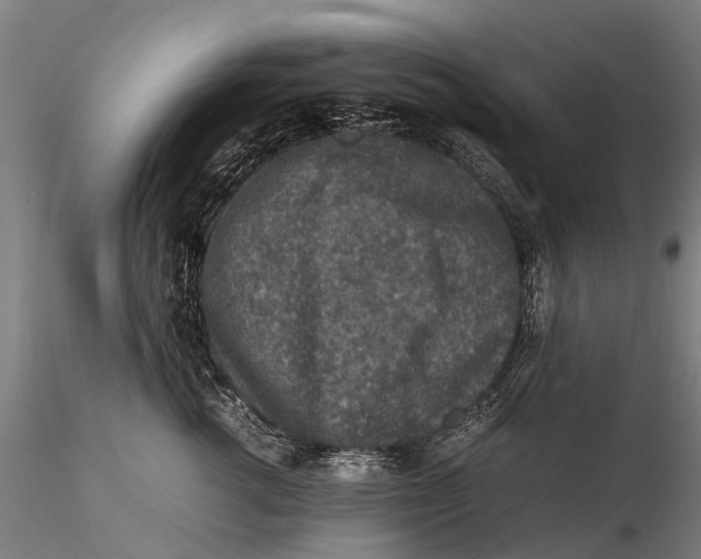 X0000115600762200912011526