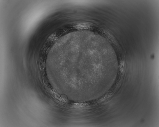 X0000115600763200912011526