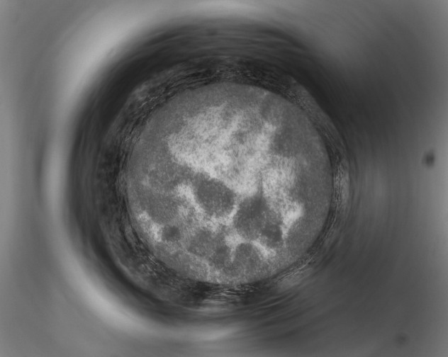 X0000115600765200912011526