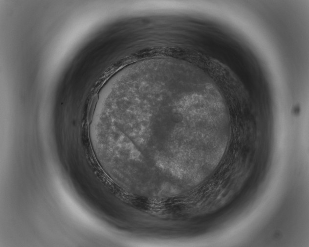 X0000115600766200912011526