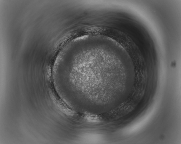 X0000115600767200912011526