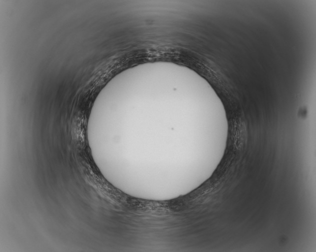 X0000115600770200912011525