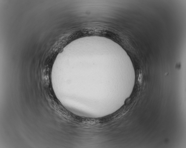 X0000115600771200912011525