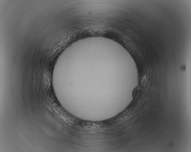 X0000115600772200912011525