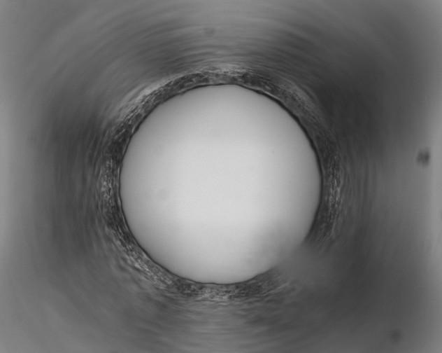 X0000115600773200912011525