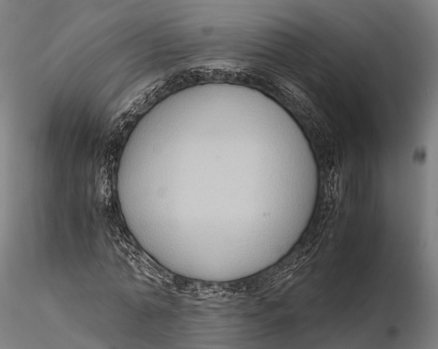 X0000115600774200912011525