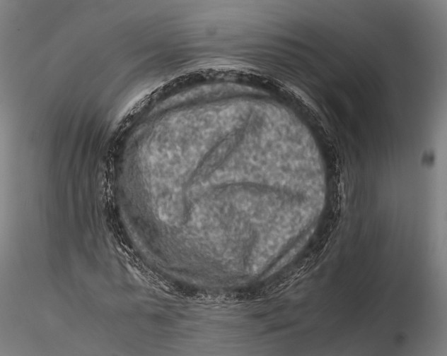 X0000115600775200912011525