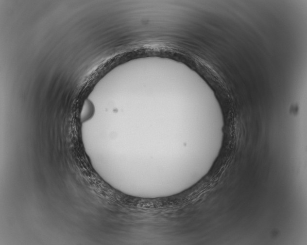 X0000115600776200912011525