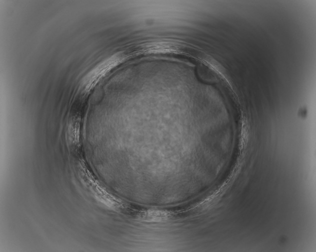 X0000115600777200912011525