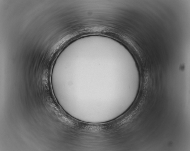 X0000115600778200912011525