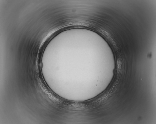 X0000115600780200912011525