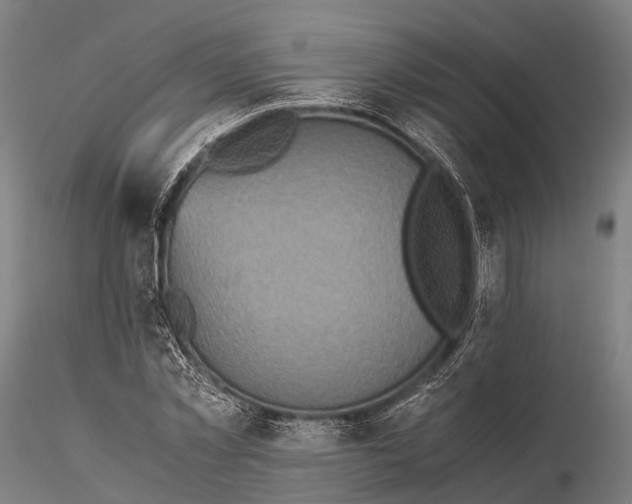 X0000115600781200912011525