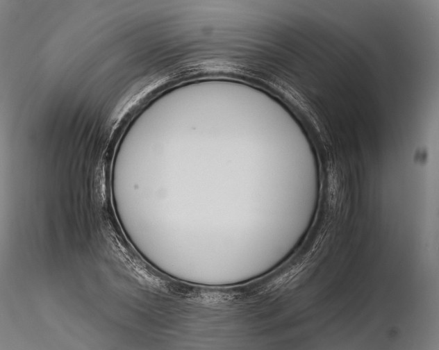 X0000115600782200912011525