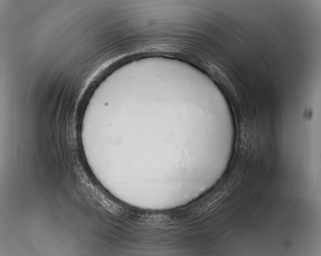 X0000115600784200912011525