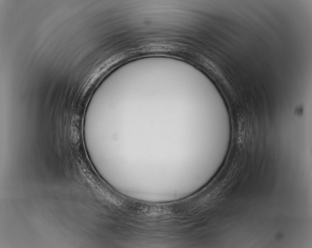 X0000115600786200912011525