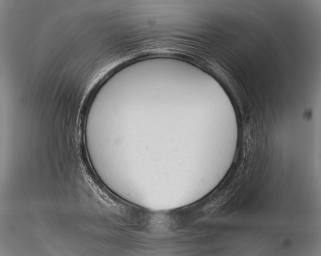 X0000115600787200912011525