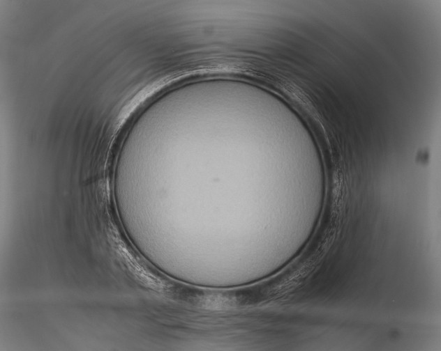 X0000115600789200912011525