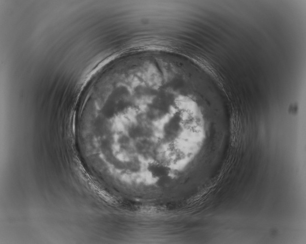 X0000115600790200912011525