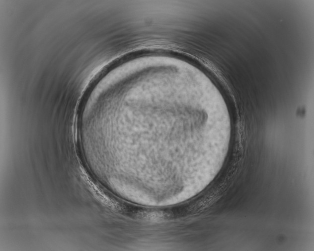 X0000115600791200912011525