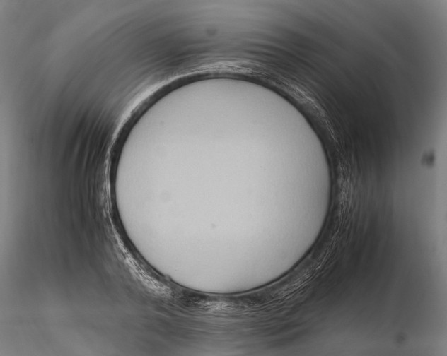 X0000115600792200912011525