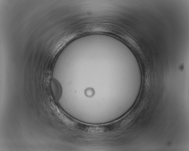 X0000115600793200912011525