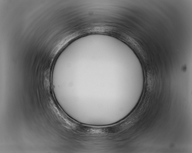 X0000115600794200912011525