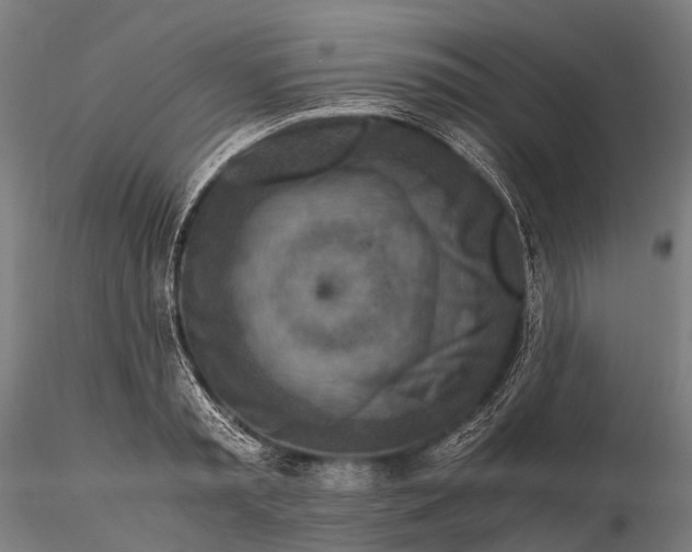 X0000115600797200912011525